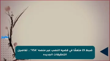 ضبط 23 متهمًا في قضية النصب عبر منصة “VSA”.. تفاصيل التحقيقات الجديدة
